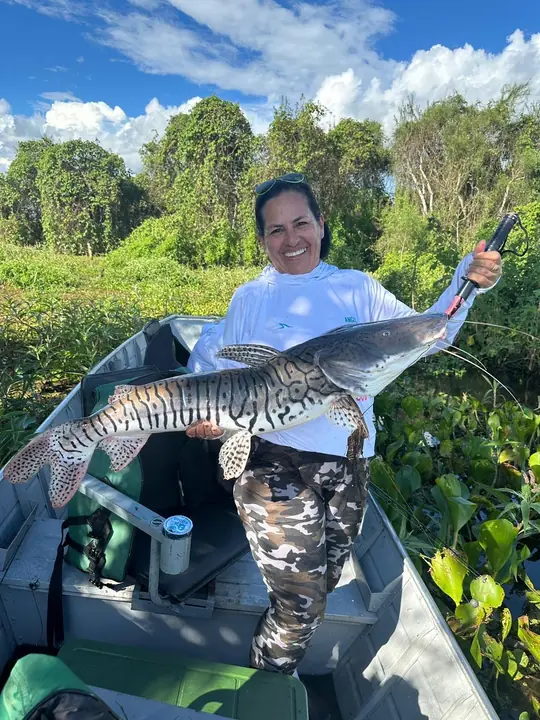 Cachara pescado no Pantanal