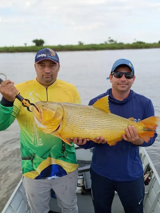 Dourado pescado no Pantanal