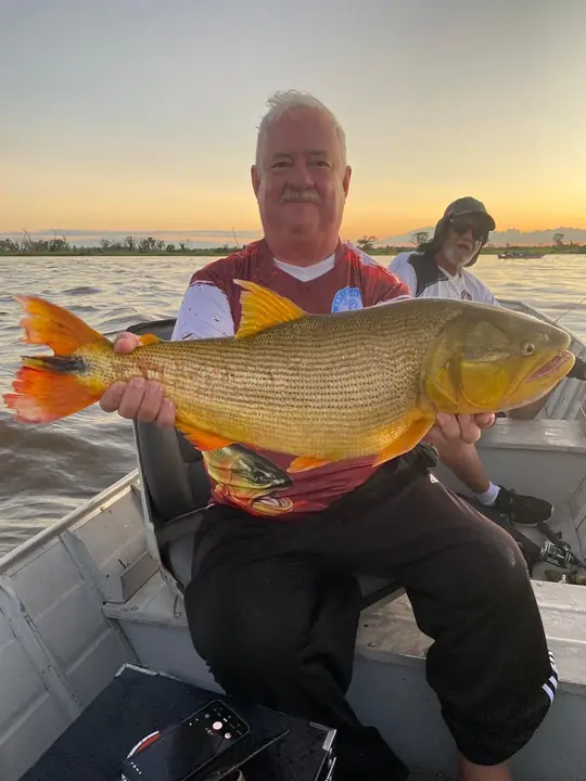 Dourado pescado no Pantanal