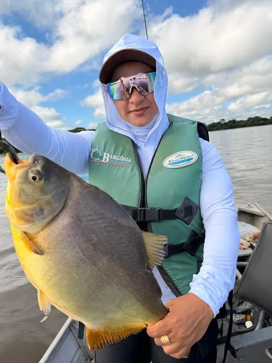 Pacu pescado no Pantanal