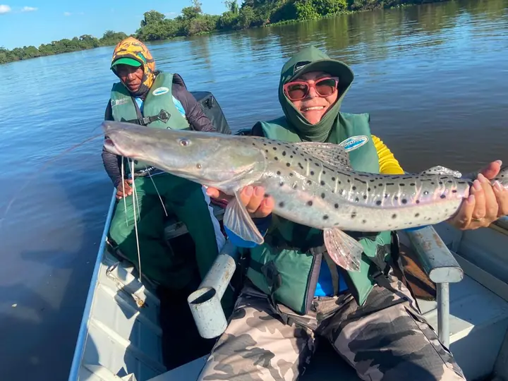 Pintado pescado no Pantanal